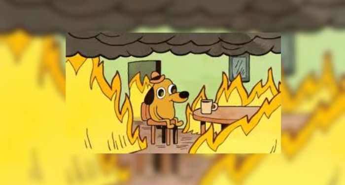 This Is Fine Cartoon Dog