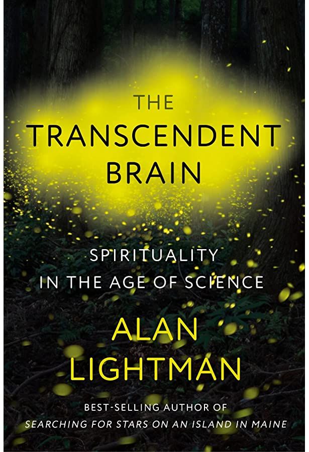 cover image of The Transcendent Brain