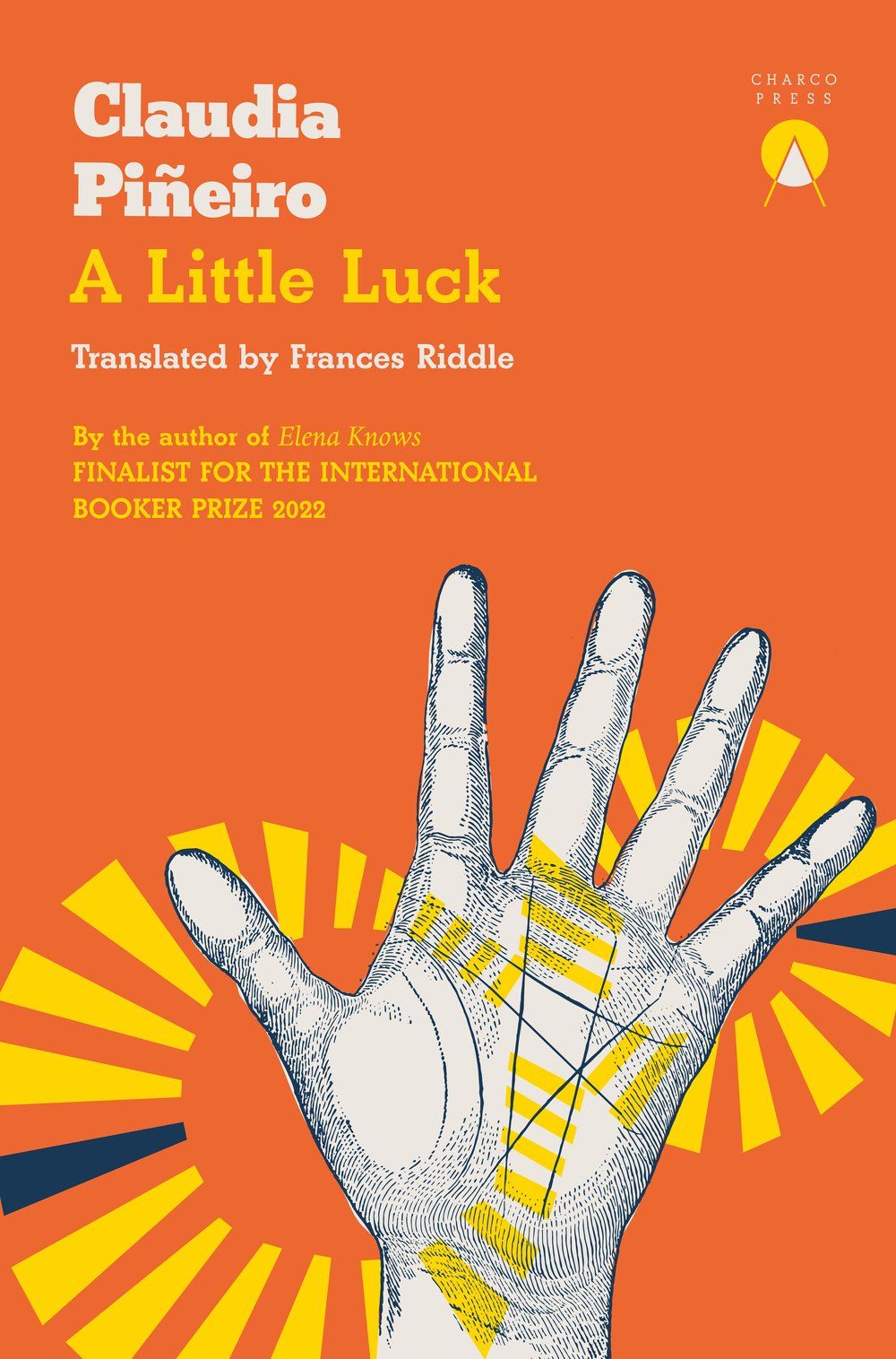 Cover of A Little Luck by Claudia Pineiro
