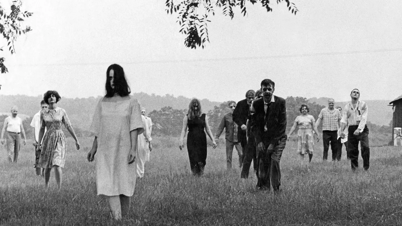 A black and white still From Night of the Living Dead showing zombies approaching