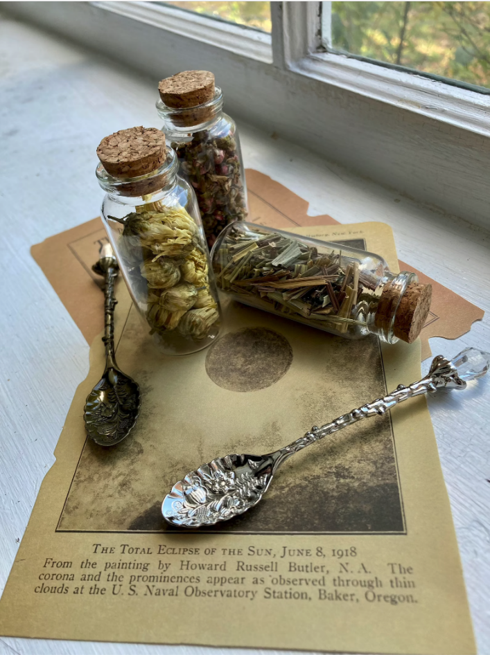 three jars filled with dried herbs and flowers on top of vintage scrapbook sheets, next to two botanical apothecary spoons