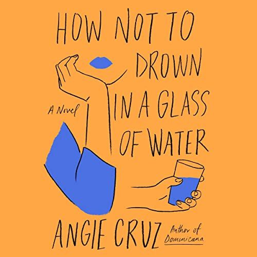 Audiobook cover of How Not to Drown in a Glass of Water