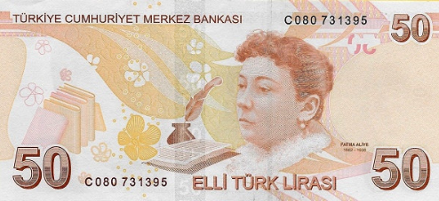 Turkish 50 lira note