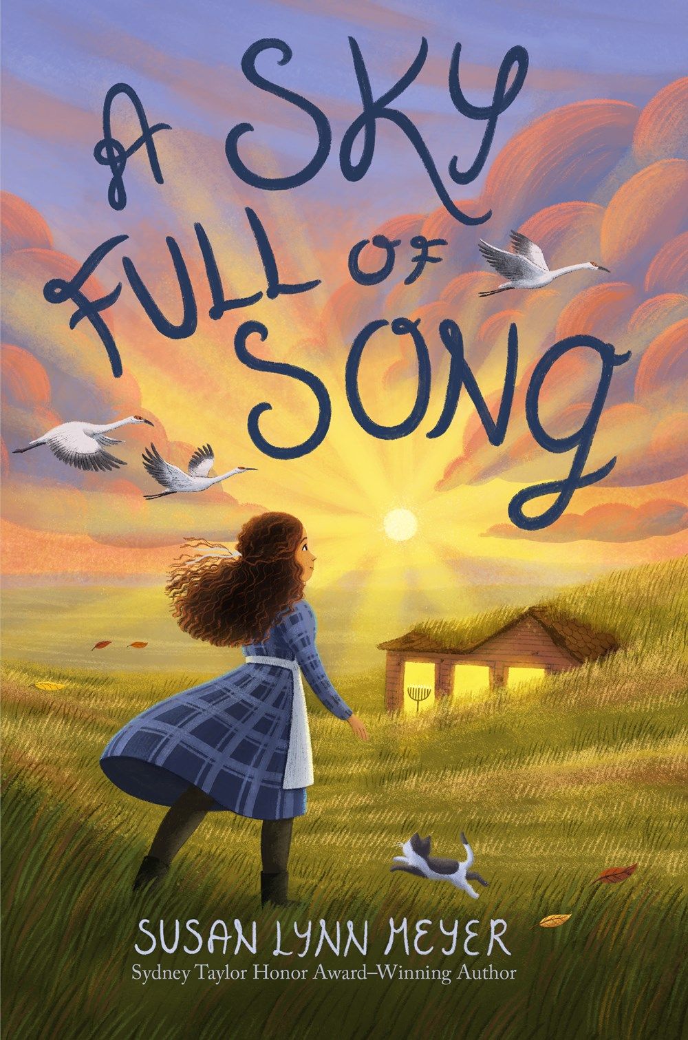 Cover of A Sky Full of Song by Meyer