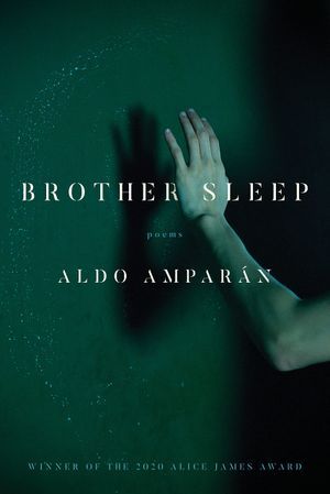 Cover of Brother Sleep