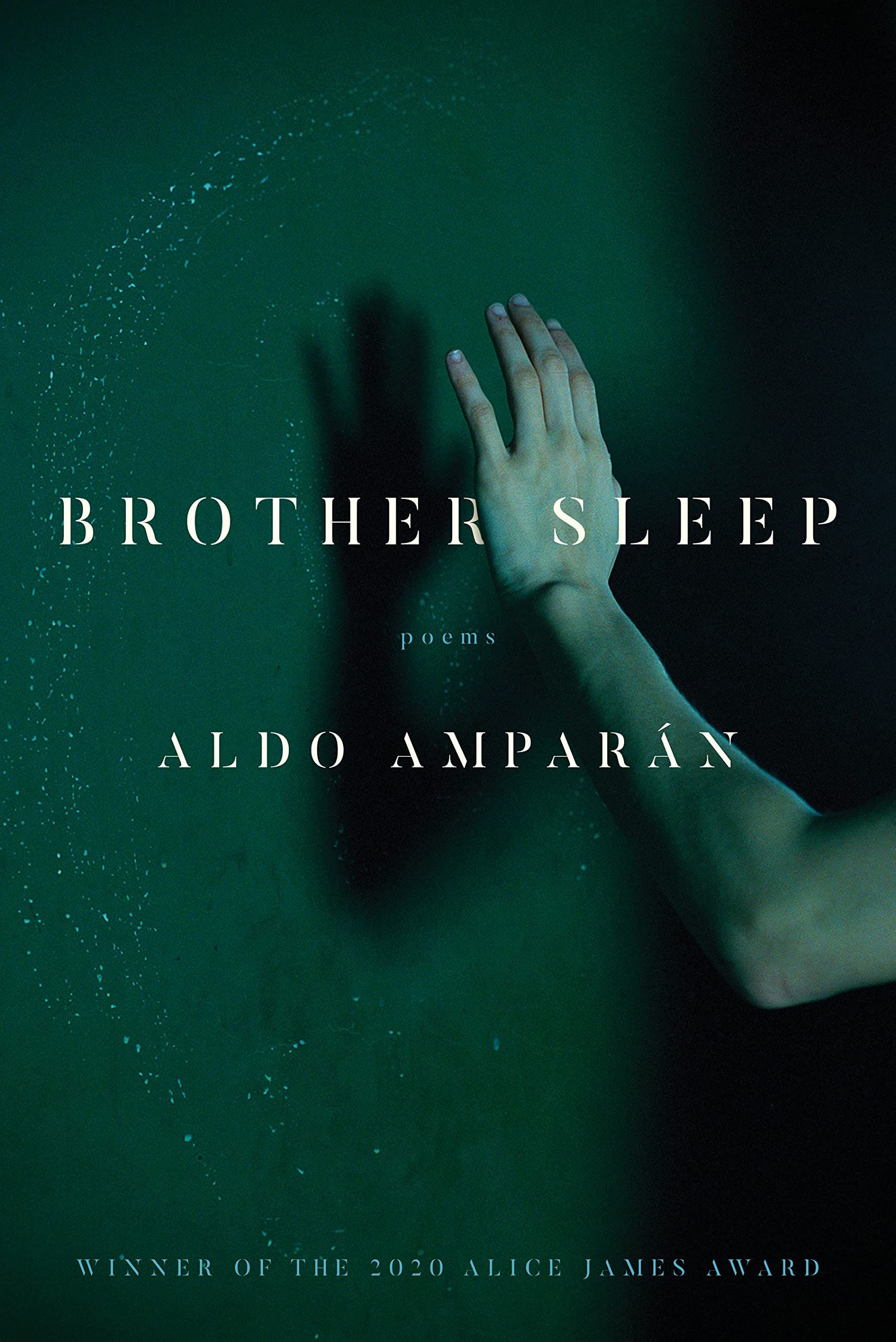 Cover of Brother Sleep