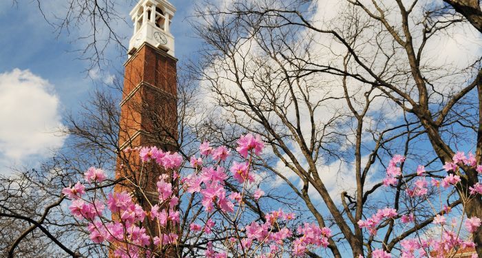 pink flowers on trees in springtime in front of the Purdue University Bell Tower