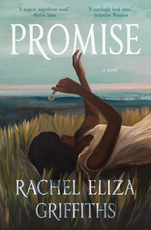promise book cover