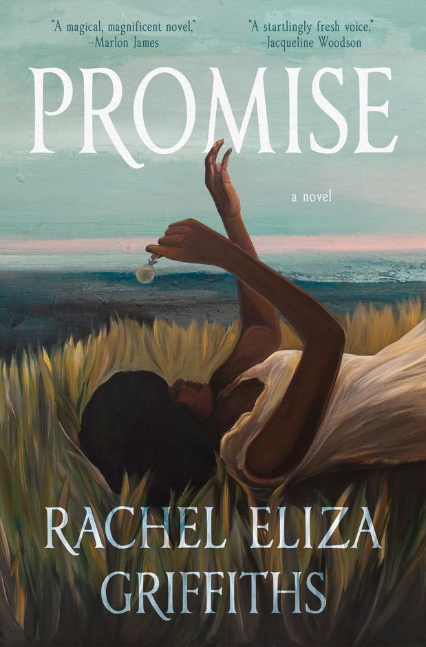 promise book cover