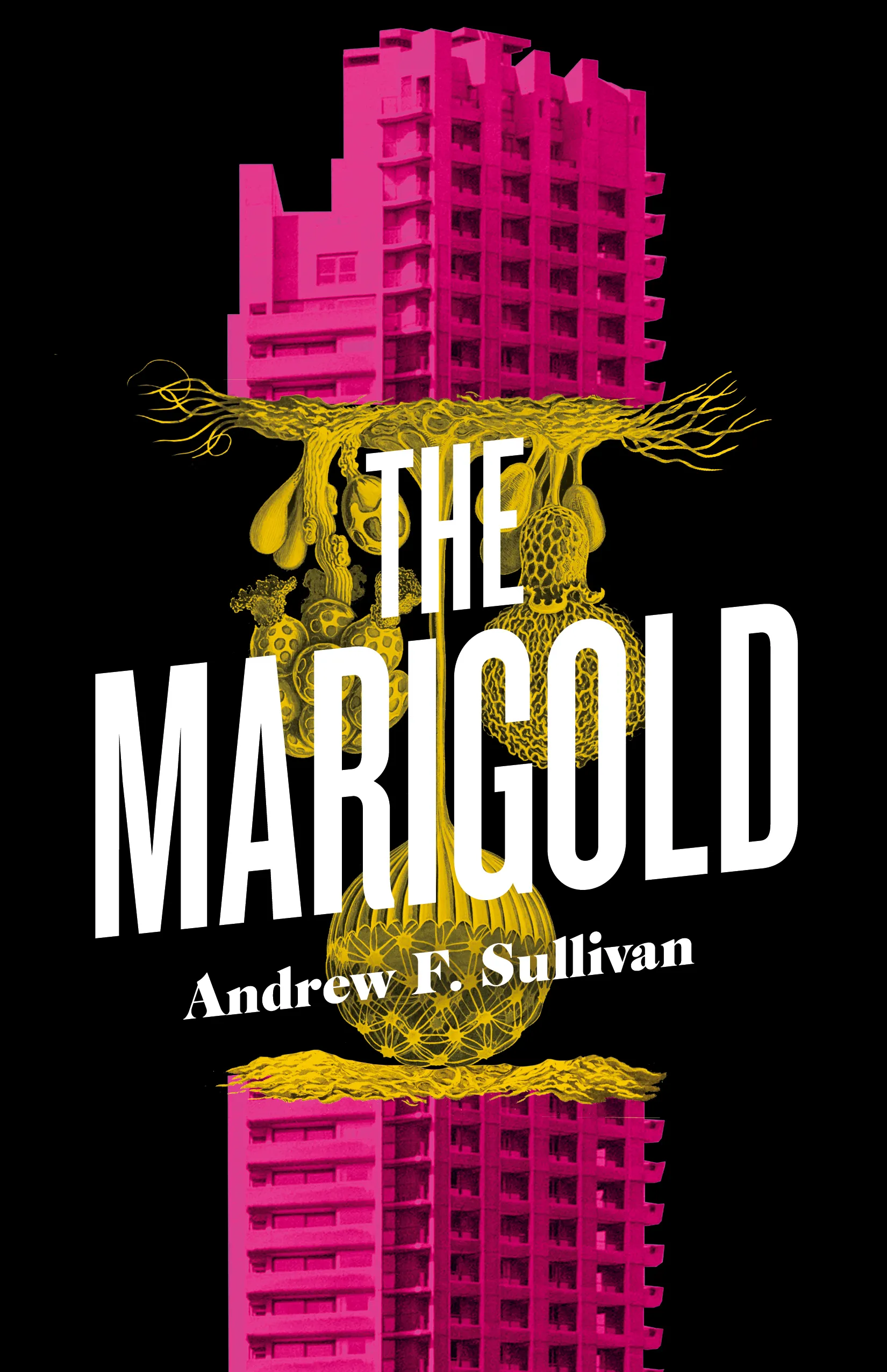 The Marigold Book Cover