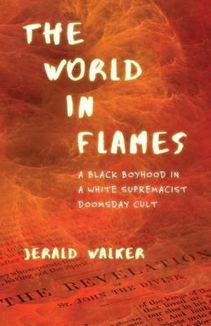 The World in Flames Book Cover