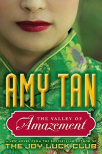 Book cover of The Valley of Amazement