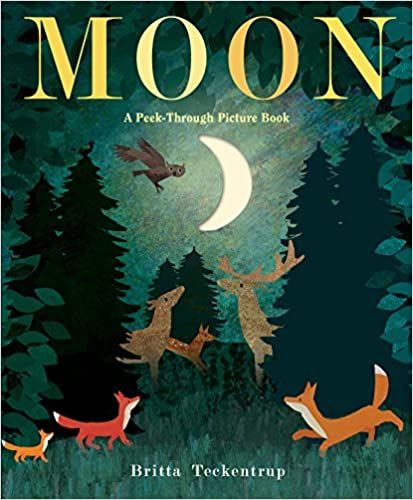 Book cover of Moon by Britta Teckentrup