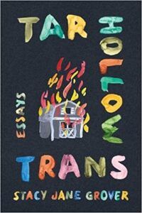 the cover of Tar Hollow Trans