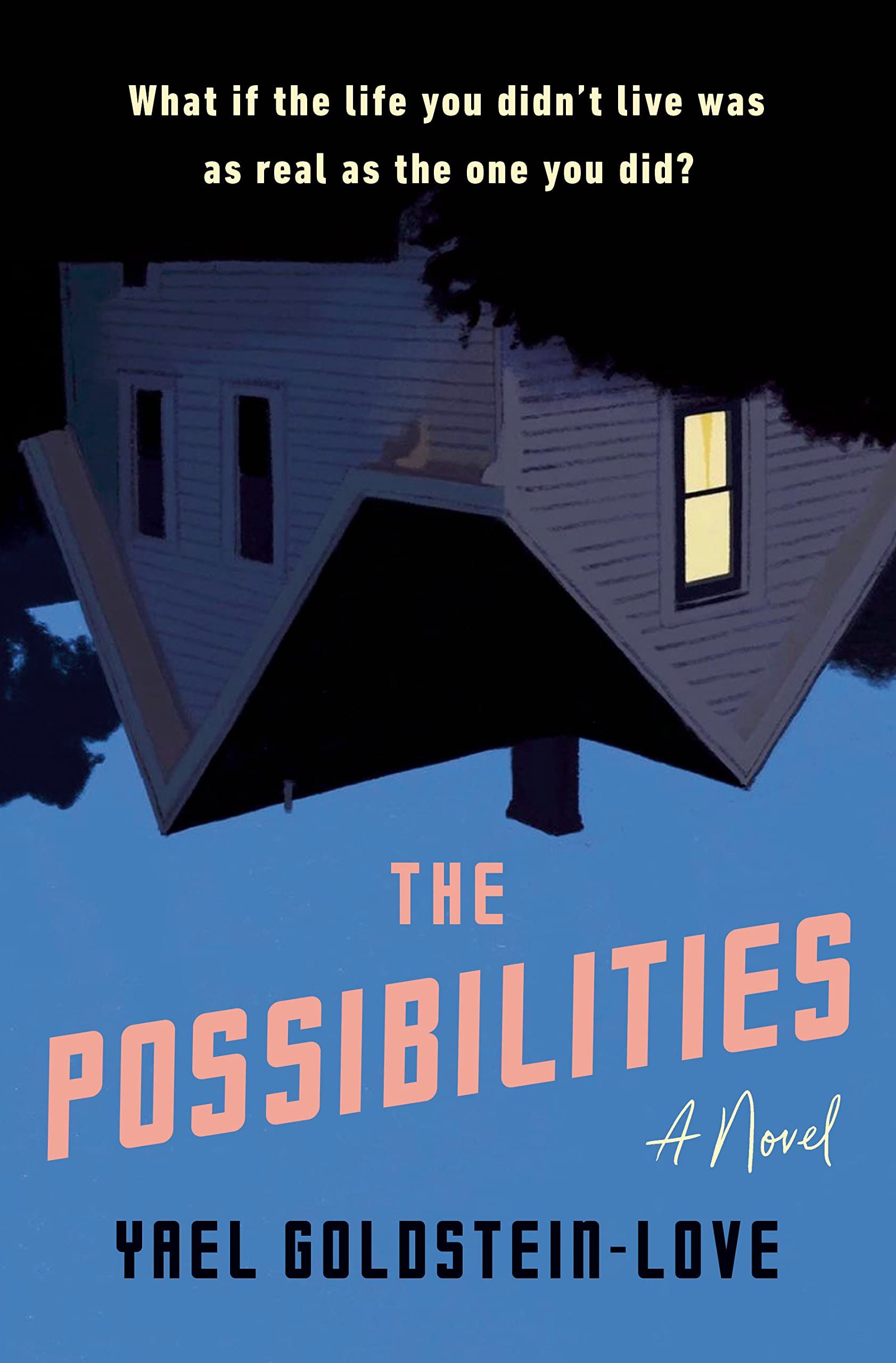 The Possibilities by Yael Goldstein-Love - book cover