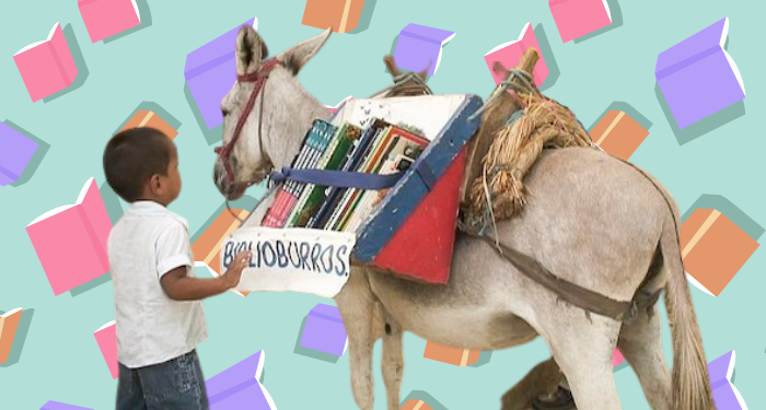 a graphic of a biblioburro