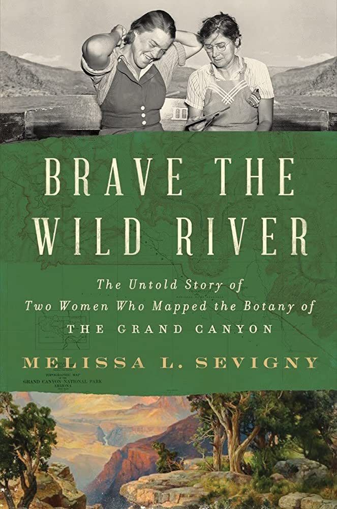 cover of Brave the Wild River