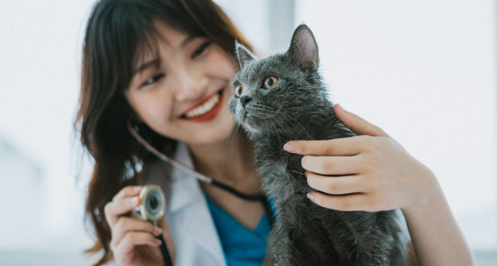 a photo of a smiling veterinarian holding a stethoscope up to a kitten