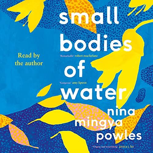 Cover of Small Bodies of Water