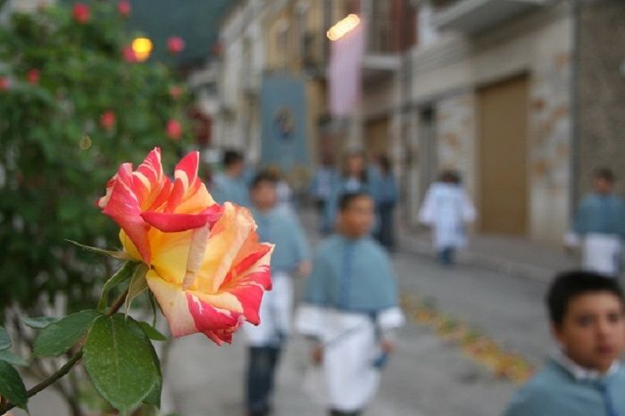 Religious parade of flowers in Italy