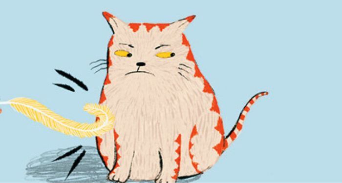 A Ranking of Fictional Cats