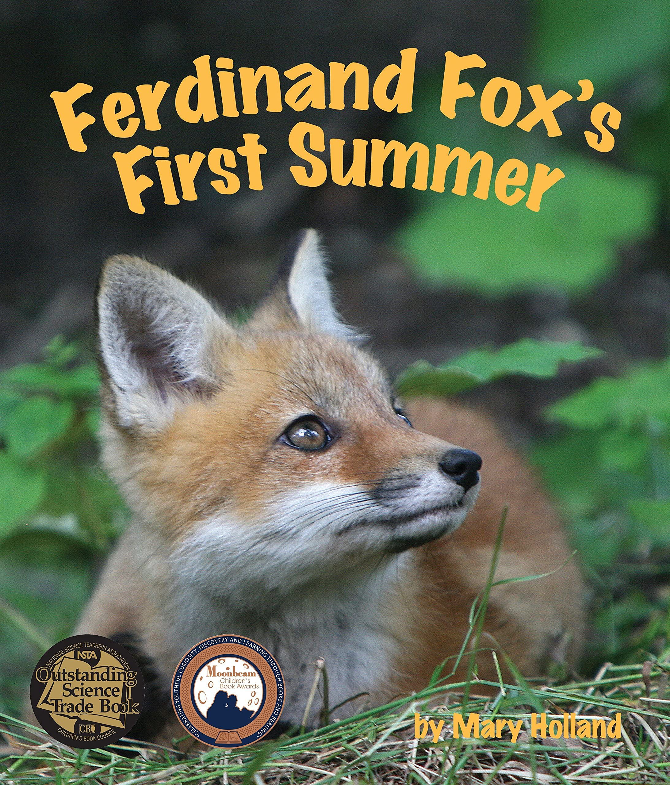Ferdinand Fox's First Summer cover