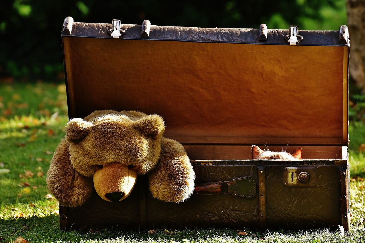 A brown teddy bear in a brown trunk. The teddy bear is flopping out of the trunk, and a cat's ears are visible to the bear's right. The trunk is on a green lawn with blurry trees in the background.