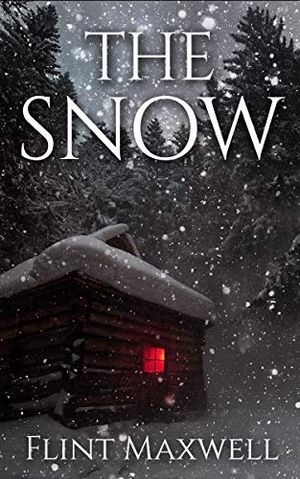 book cover for The Snow