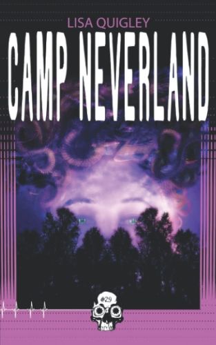 Cover of Camp Neverland by Lisa Quigley