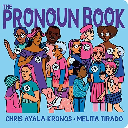 cover of The Pronoun Book