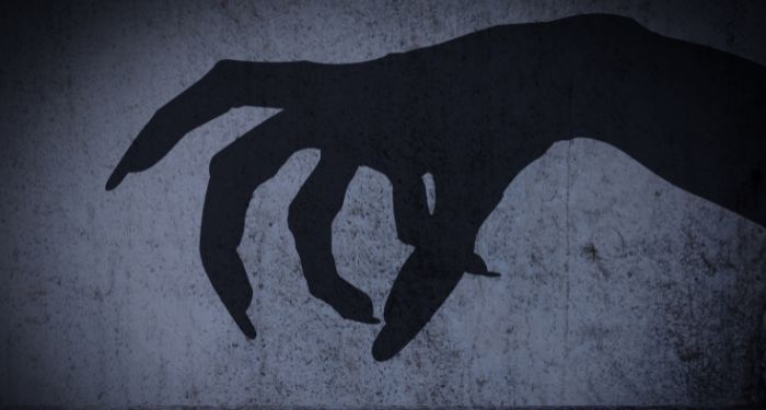 Image of a monster hand shadow