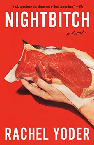 cover of Nightbitch