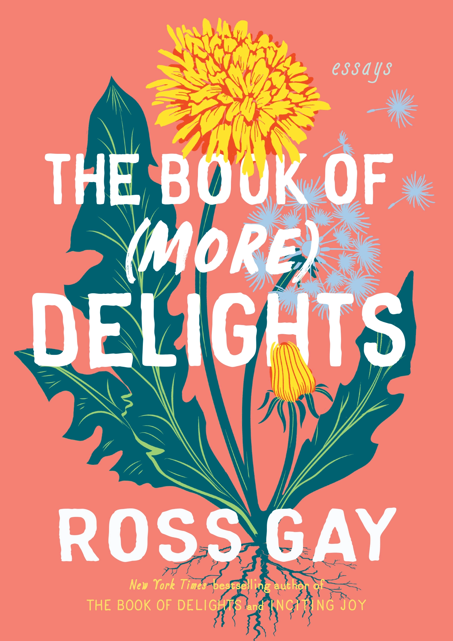 the book of more delights book cover