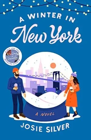 A winter in new york book cover