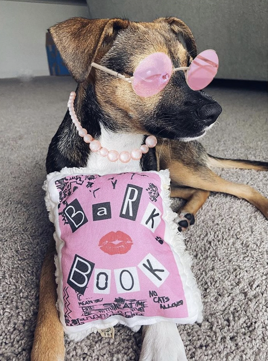 A brown, black, and white dog with a stuffed pink "Book of Bark" toy designed to look like the Burn Book in Mean Girls.  The dog is wearing round pink glasses and a pink pearl necklace, both photoshopped.