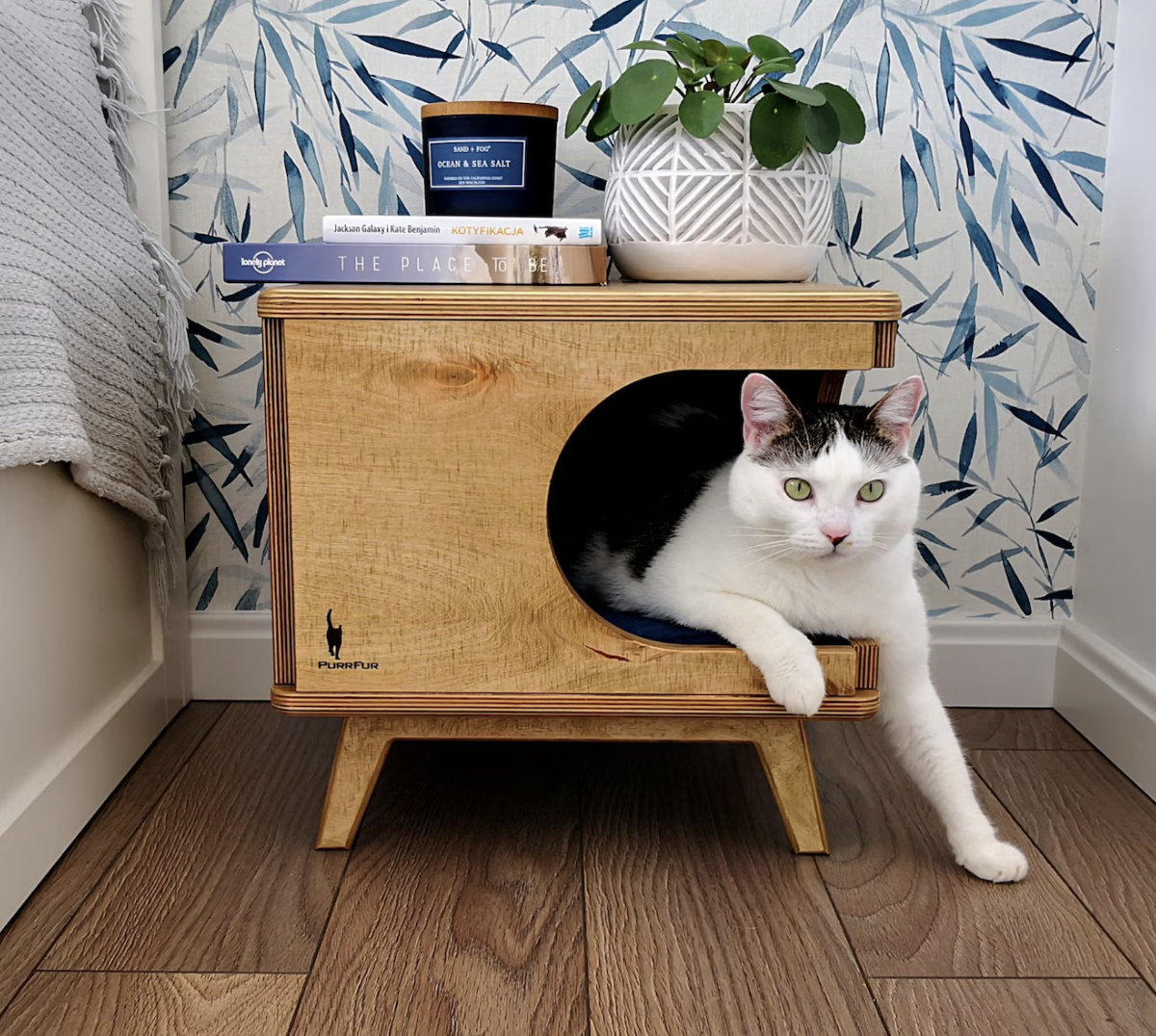 A light wooden cube-shaped side table has a hole on one corner to access a cat bed inside. A white and brown cat is lounging inside, and a plant and stack of books are placed on top.