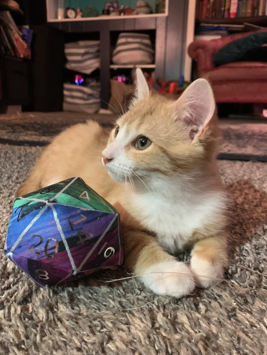An orange and white kitten lies next to a blue and purple cloth twenty-sided die toy