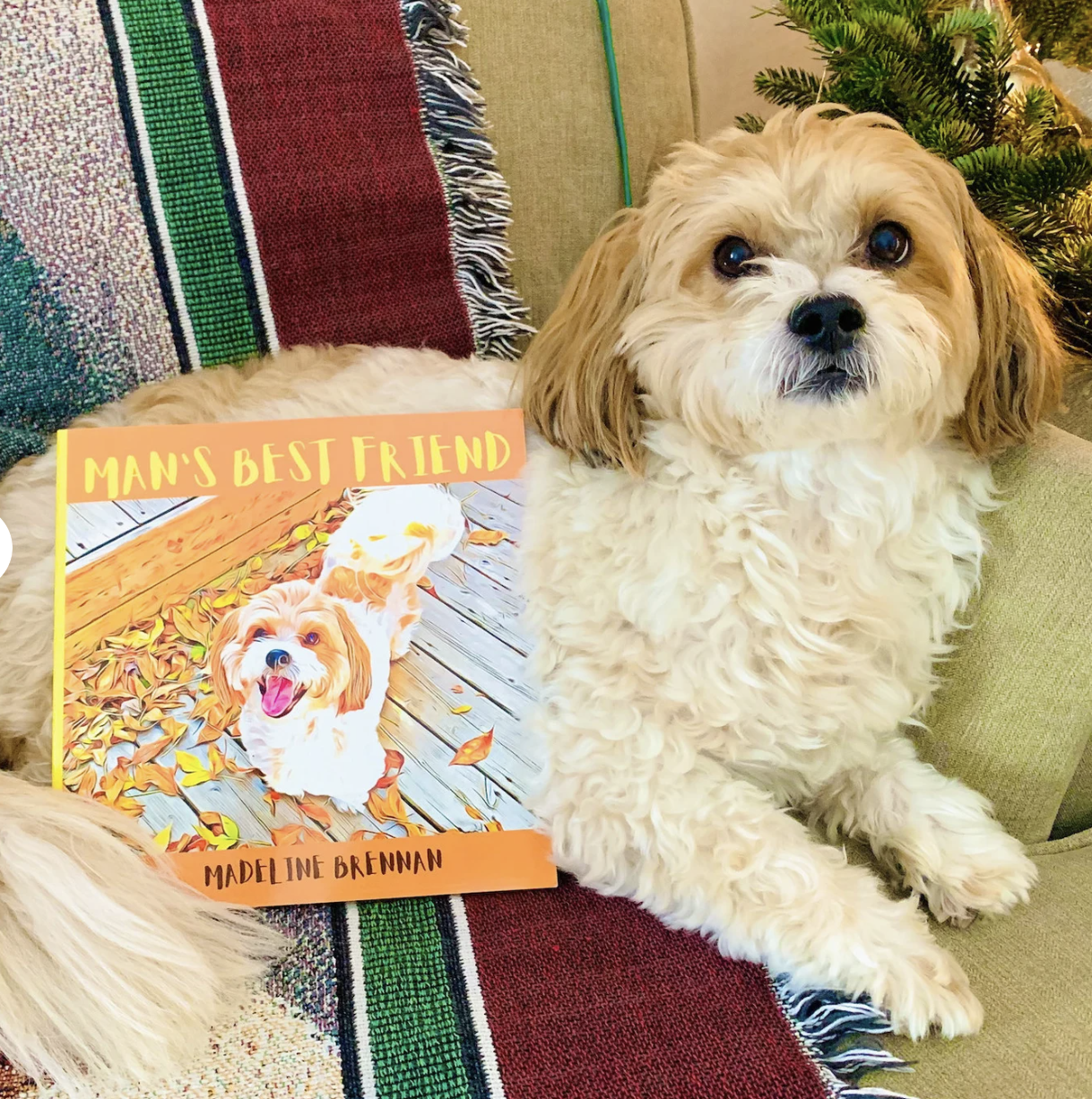 A brown and white fluffy dog ​​posing with a picture book titled dog picture "Man's best friend"