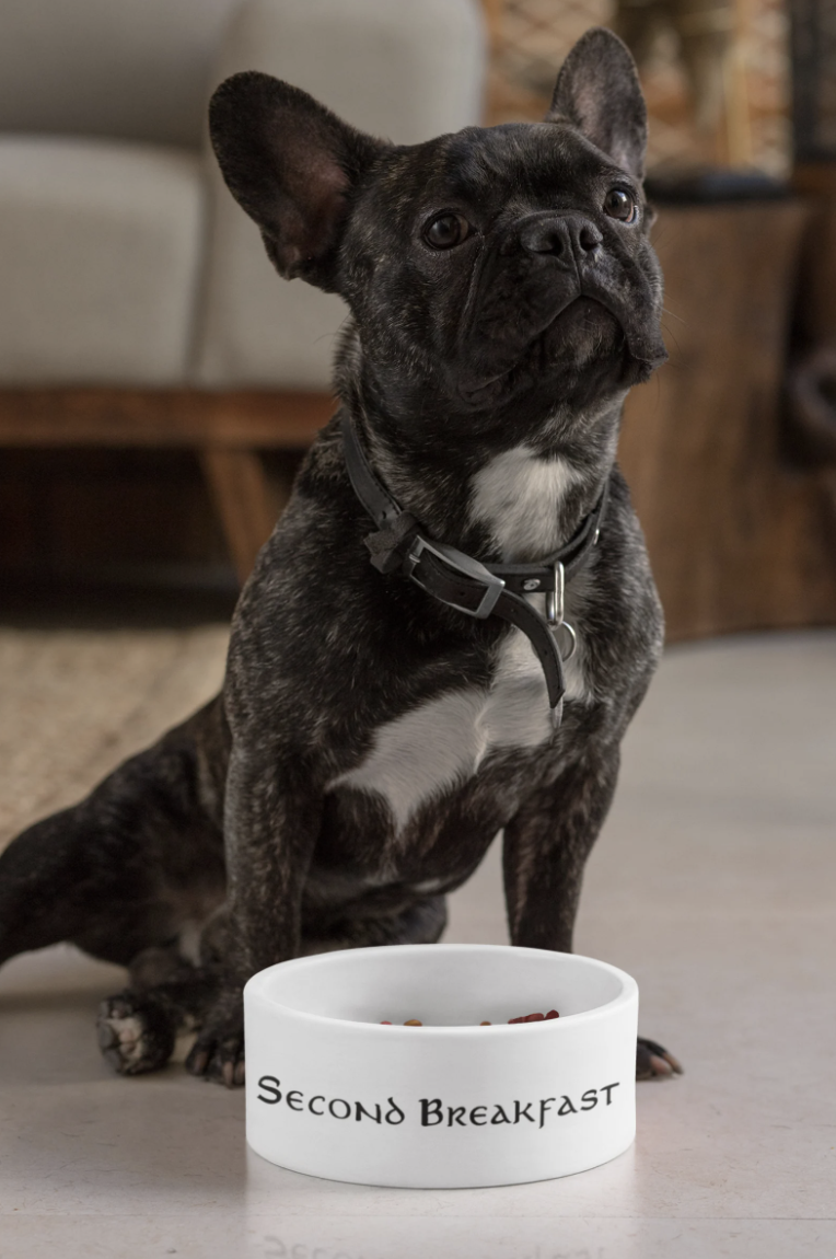 A gray and white French Bulldog with a round white food bowl that says "Second Breakfast" in an old fashioned font