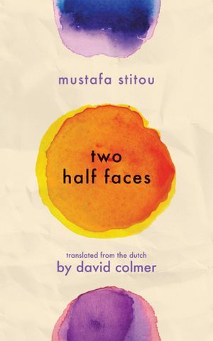 Two Half Faces by David Colmer book cover