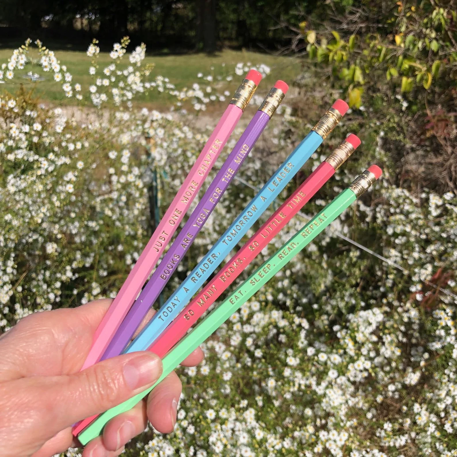 A hand holding up a set of five pastel pencils in a field of white flowers. Each has a book-related slogan printed on it.