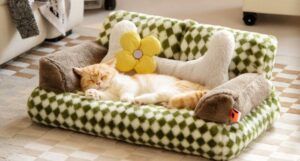 A blondish cat snoozes on a tiny green and white checkered couch shaped bed