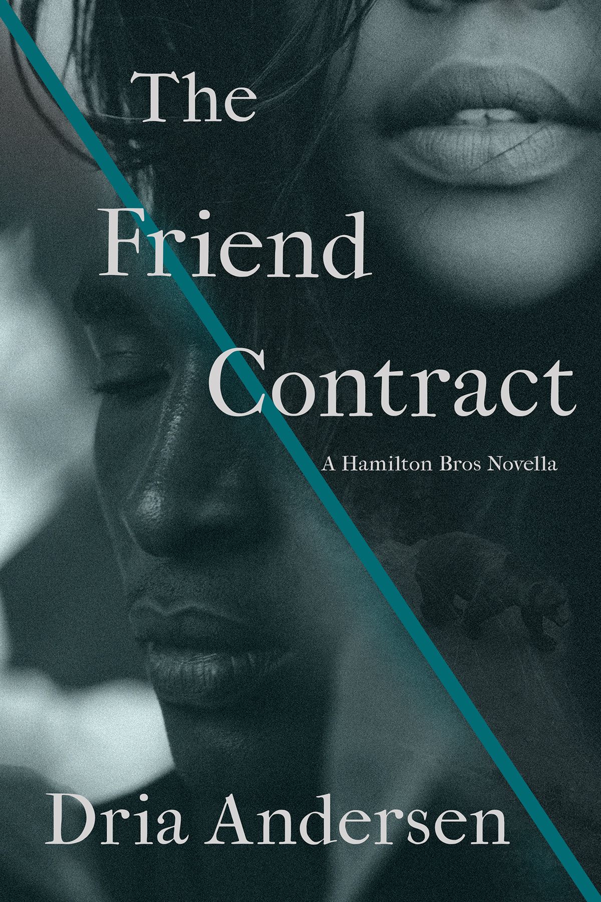 cover of The Friend Contract by Dria Andersen