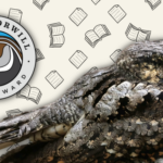 a collage of a Whippoorwill bird, the Whippoorwill Award logo, and images of books