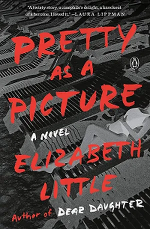 Pretty as a Picture by Elizabeth Little book cover