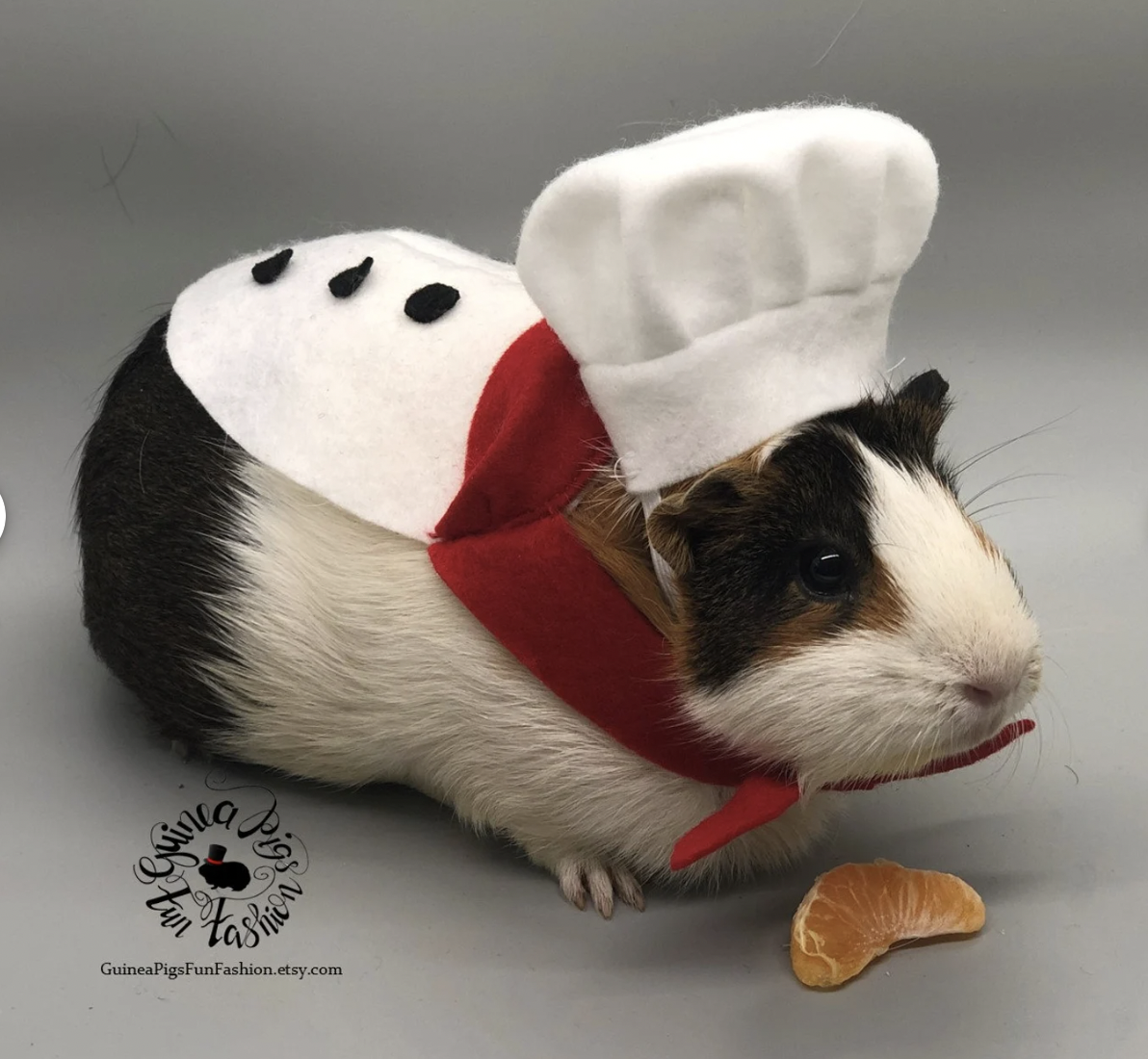 Black and white guinea pig in a tiny chef hat and cape designed to look like chef apron