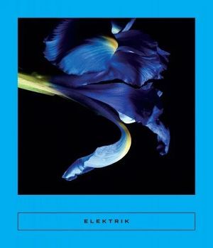 Cover of Electric Caribbean Writing