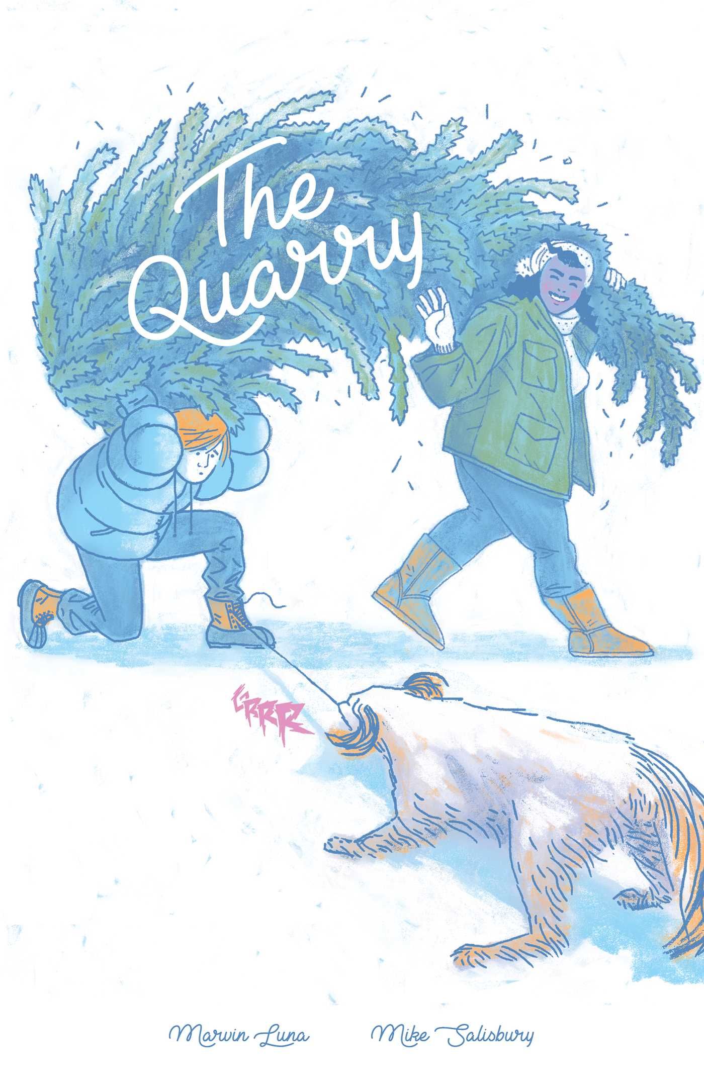The Quarry by Mike Salisbury cover