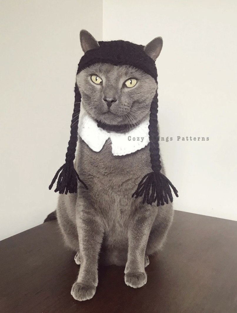 A gray cat in a crocheted wig of two black braids and a white collar like Wednesday Addams