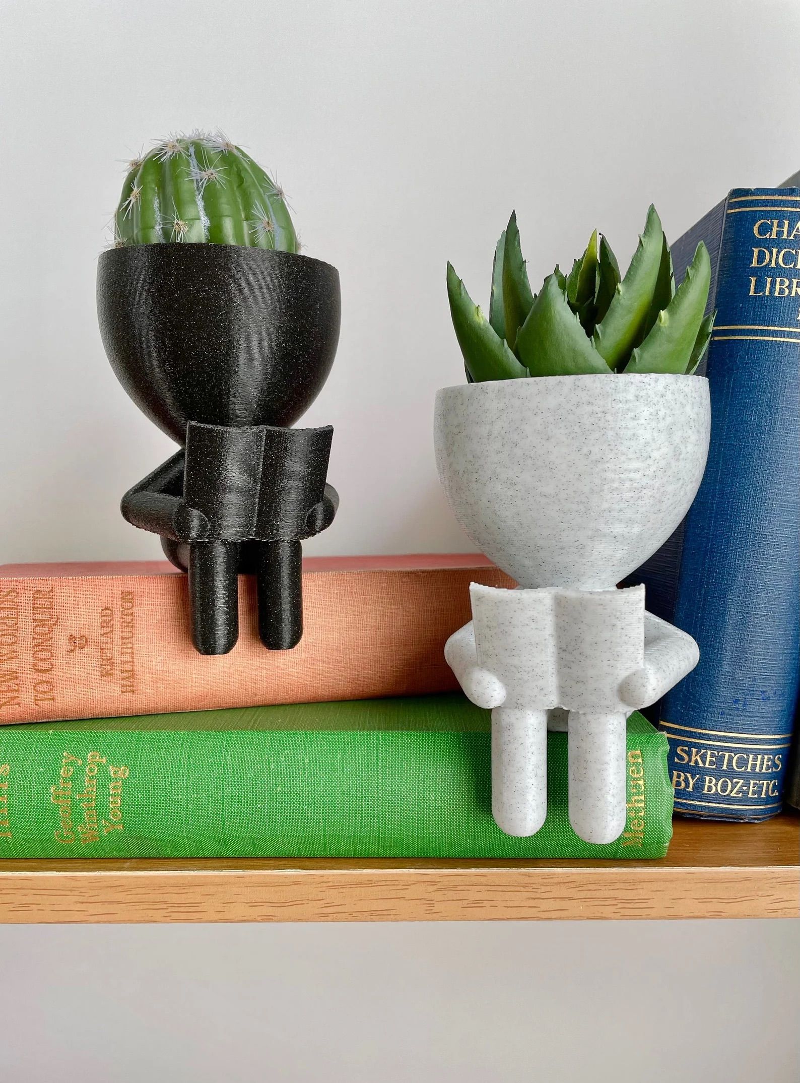 A Black and white Book Reader Planter with small plants in them sitting on books on a shelf.